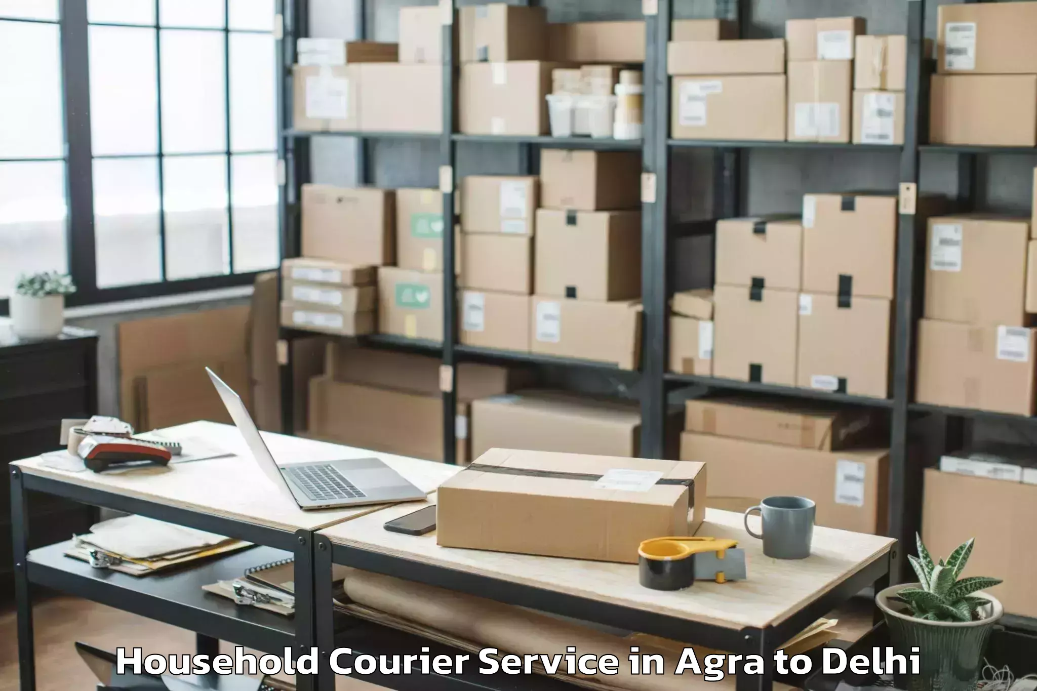 Professional Agra to Naraina Industrial Estate Household Courier